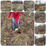 Processed with MOLDIV