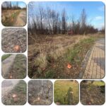 Processed with MOLDIV