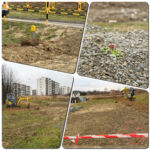 Processed with MOLDIV